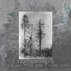 Wenn der Wald zum Traum Wird